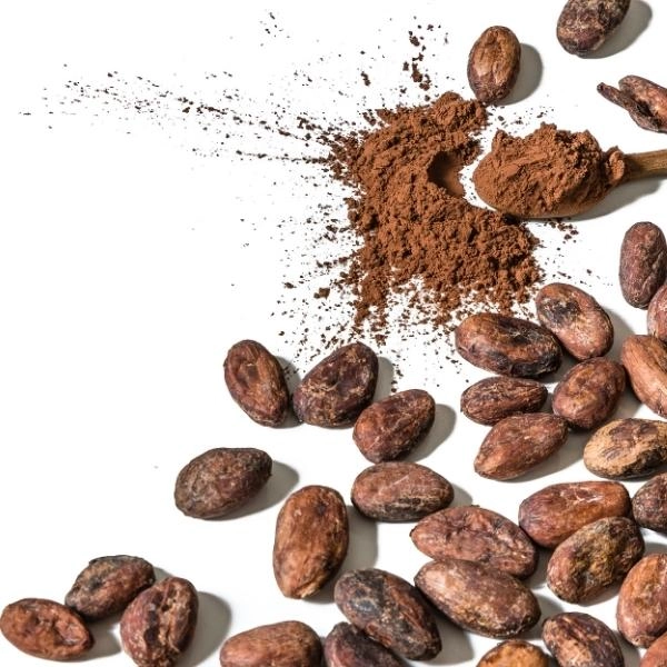 Cocoa Beans
