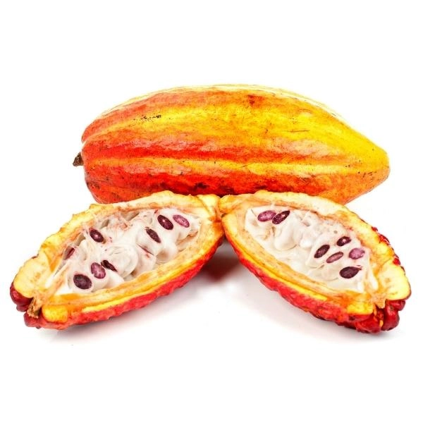 Cocoa Fruit