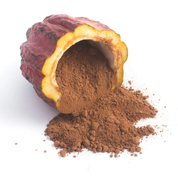Cocoa powder