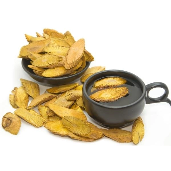 Coscinium fenestratum