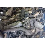 Kallur vanchi | Aquatic Rotula