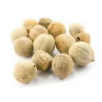 Terminalia Bellirica | Thannikka Thodu