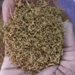 Krimi Shathru | Krimi Kuthar