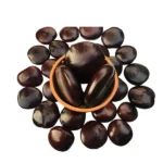 Makkumka | Entada Rheedii | African Dream Herb | Snuff Box Sea Bean | Kakkumkaya Seeds