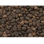 Karkokilari | Psoralea Corylifolia | Psoralea Seeds