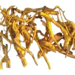 Natural Saptarangi | Ponkoranti | പൊൻകൊരണ്ടി | Salacia Oblonga